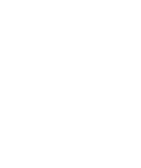 WDI Solutions logo
